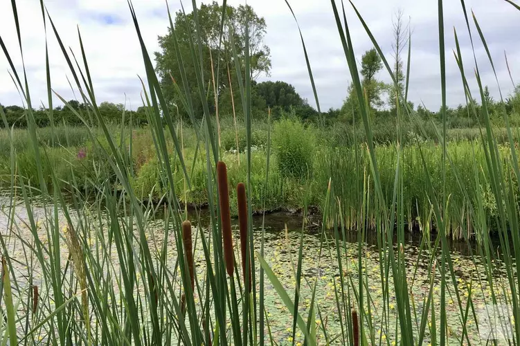 Nieuw WaterLAB voor MAK Blokweer