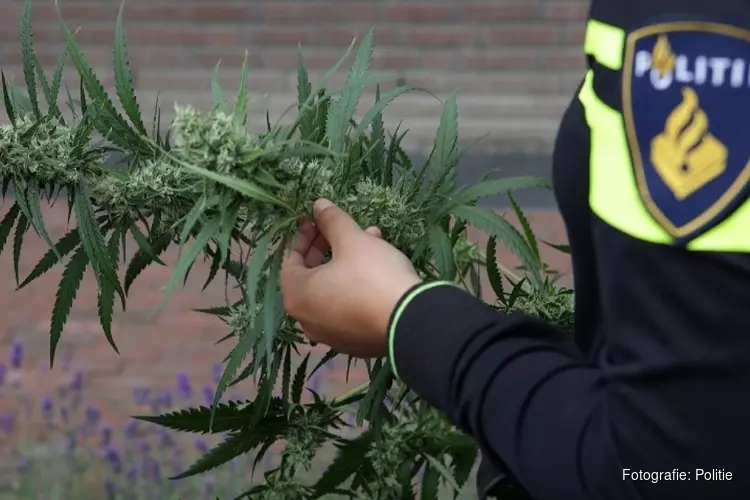 Burgemeester sluit weer een drugswoning in beruchte Hoornse wijk