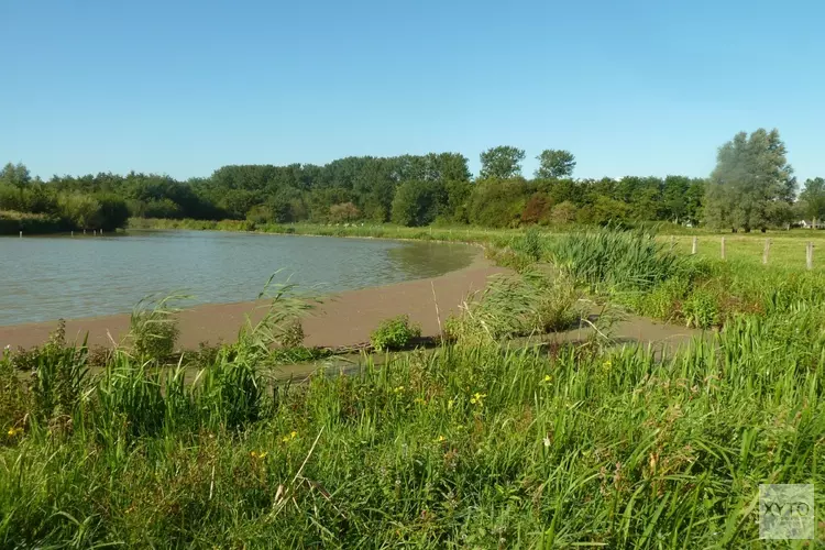 Op poldersafari door de Suyderbraeck