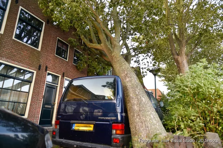 Boom valt op auto en huis