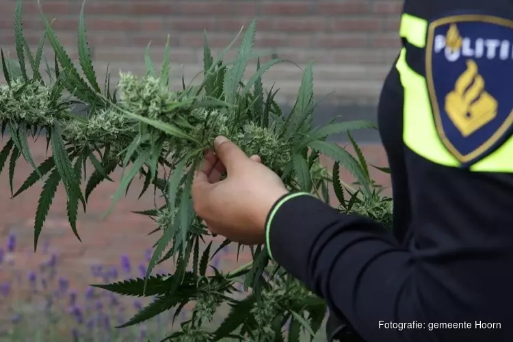 Burgemeester sluit drugswoning Stijgbeugel in Zwaag