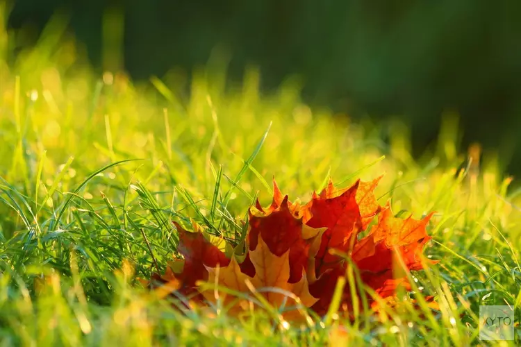 Herfst begint rustig, later in de week weersverandering