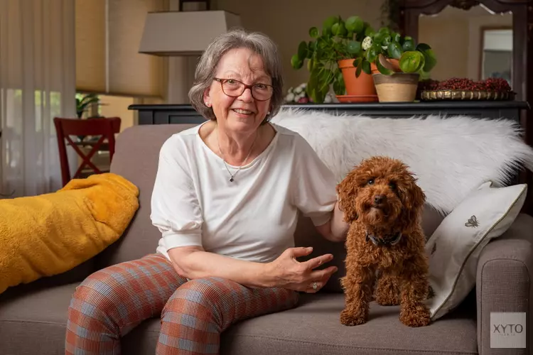 Een oppashond voor senioren: gezellig èn gezond   Stichting OOPOEH zoekt senioren en honden in Hoorn