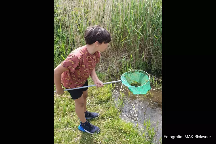 De zomervakantie vier je bij…….  MAK Blokweer!