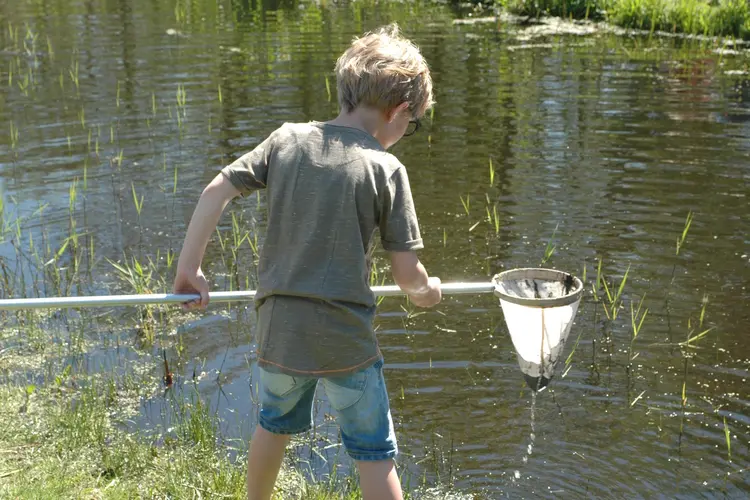 Vier de zomer bij MAK Blokweer