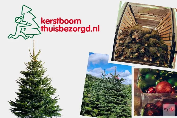 De mooiste kerstbomen van Hoorn. Gratis Thuisbezorgd