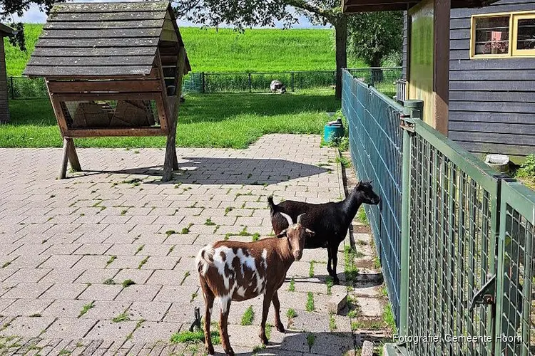 Mogelijke sluiting kinderboerderij De Waalrakkers