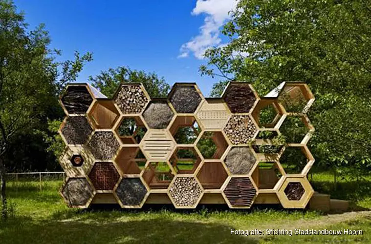 Gezoem van bijen en geur van honing en bijenwas tijdens Open Huis kinderboerderij de Woid